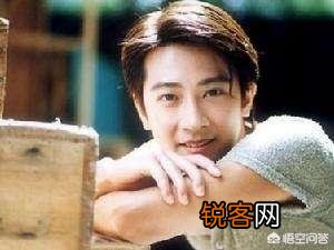 你认为年轻时的吴奇隆、苏有朋、孙耀威、林志颖、张卫健、梁朝伟和郭富城谁最帅？