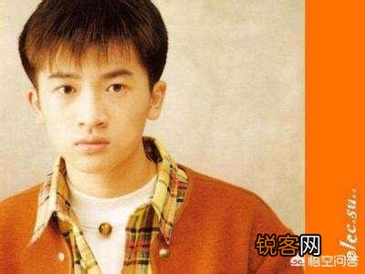 你认为年轻时的吴奇隆、苏有朋、孙耀威、林志颖、张卫健、梁朝伟和郭富城谁最帅？