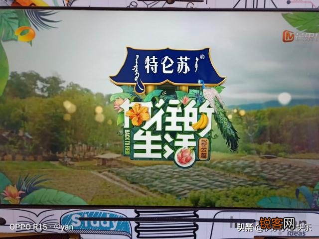 内地哪个综艺节目比较有意思？