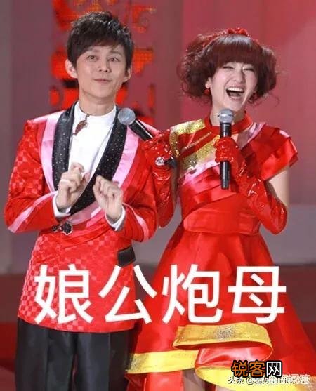 如何评价何炅在《明星大侦探》中的表现？