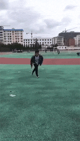 你见过哪些很“皮”很有意思的gif图？