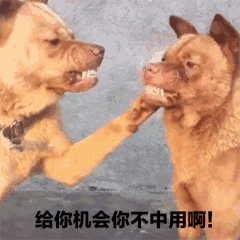 你见过哪些很“皮”很有意思的gif图？