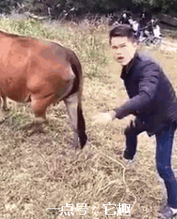 有什么让你狂笑不止的动态图或图片吗？可以分享一下吗？