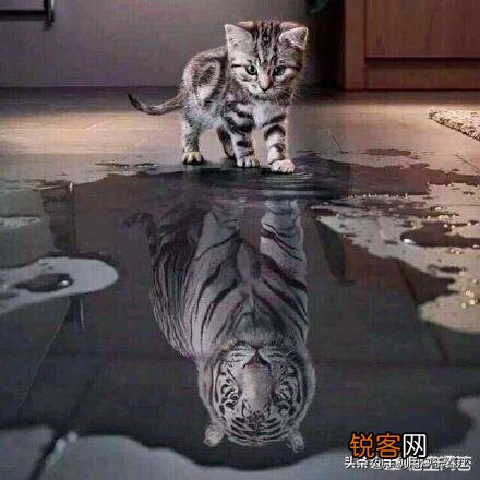 闲来无事,大家一起斗斗图,你有什么好的图片吗？