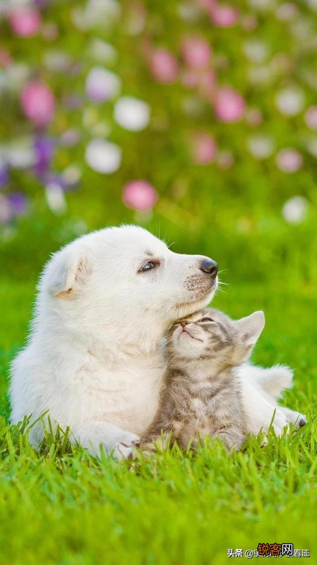 闲来无事,大家一起斗斗图,你有什么好的图片吗？