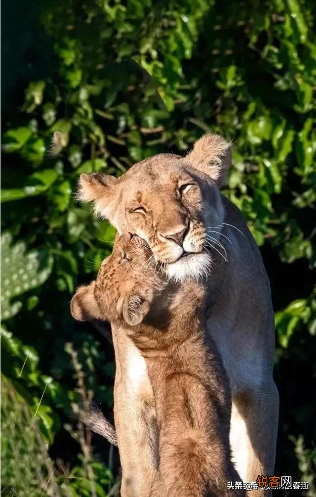 闲来无事,大家一起斗斗图,你有什么好的图片吗？