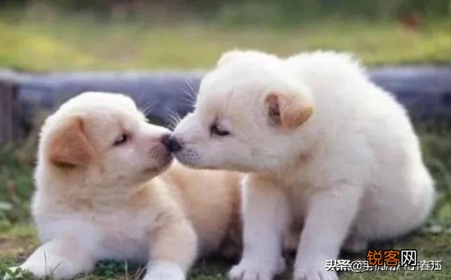 闲来无事,大家一起斗斗图,你有什么好的图片吗？