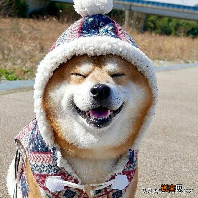 闲来无事,大家一起斗斗图,你有什么好的图片吗？