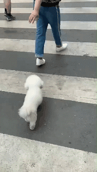 哪些搞笑图片会让你笑岔气？