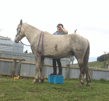 哪些搞笑图片会让你笑岔气？