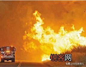 你见过最搞笑的图片是什么？