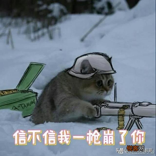 你们都收藏了哪些有意思的表情包和gif？