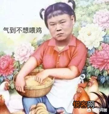 你们都收藏了哪些有意思的表情包和gif？