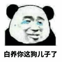 你们都收藏了哪些有意思的表情包和gif？