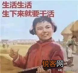 你们都收藏了哪些有意思的表情包和gif？