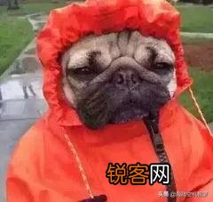 你们都收藏了哪些有意思的表情包和gif？