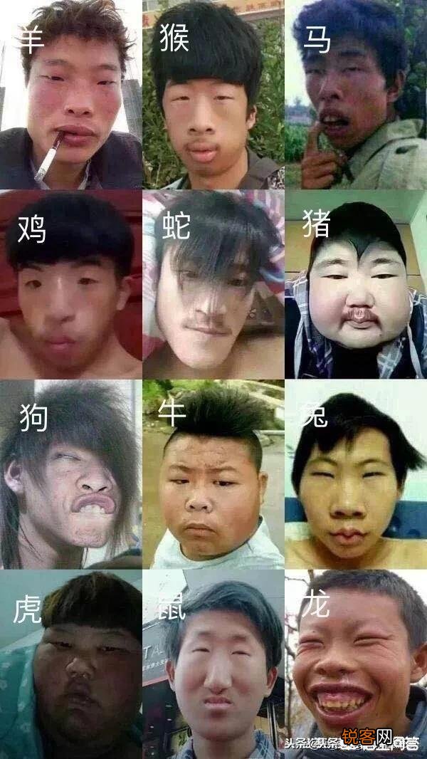 你用过的最搞笑的表情包是什么？