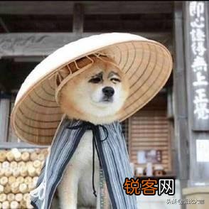 你用过的最搞笑的表情包是什么？