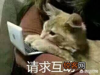 有什么万能表情包吗？