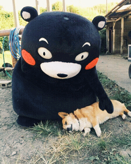 有什么万能表情包吗？