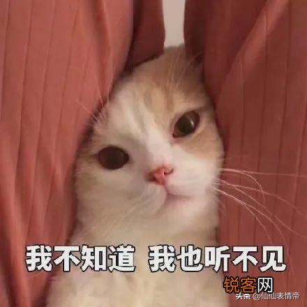 有没有情侣之间可爱调皮的表情包？