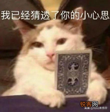 有没有情侣之间可爱调皮的表情包？
