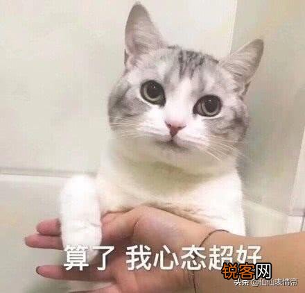 有没有情侣之间可爱调皮的表情包？