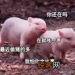 有没有情侣之间可爱调皮的表情包？