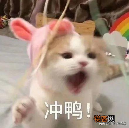 有没有情侣之间可爱调皮的表情包？