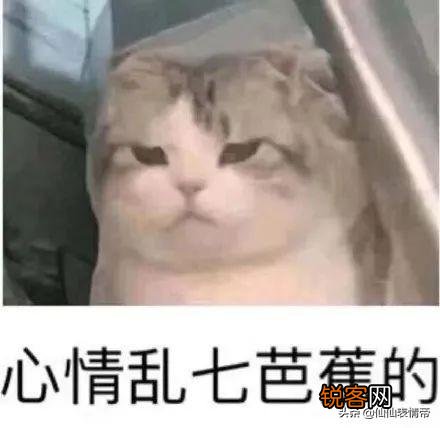 有没有情侣之间可爱调皮的表情包？