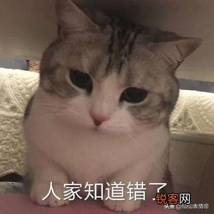 有没有情侣之间可爱调皮的表情包？