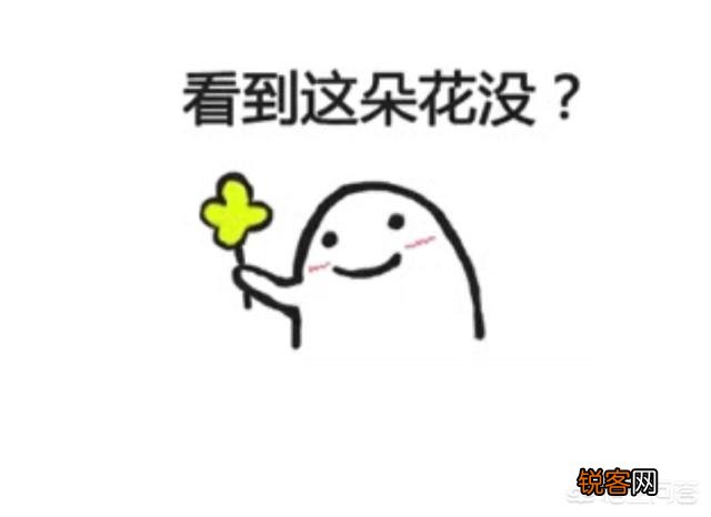 你在微信聊天时,有哪些最喜欢用的沙雕表情包？