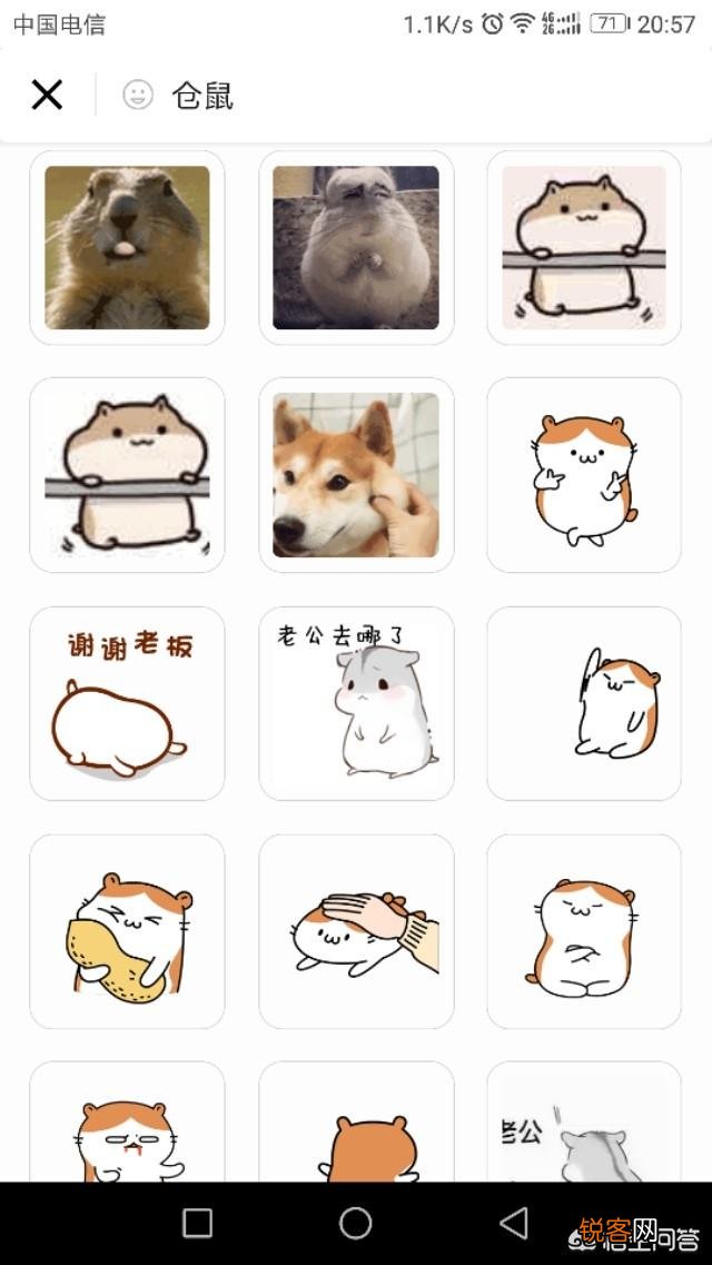 这种仓鼠的表情包怎么加到微信里呀？