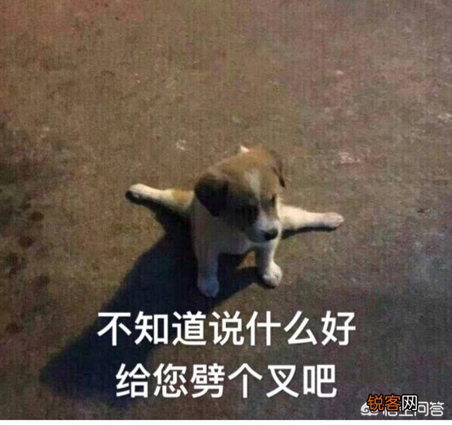 你有哪些珍藏了很久还舍不得删掉的表情包？