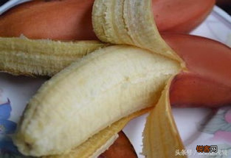香蕉可以和牛奶一起吃吗 香蕉和牛奶一起吃的功效与作用