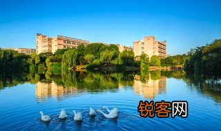 大学什么专业 大学有哪些专业
