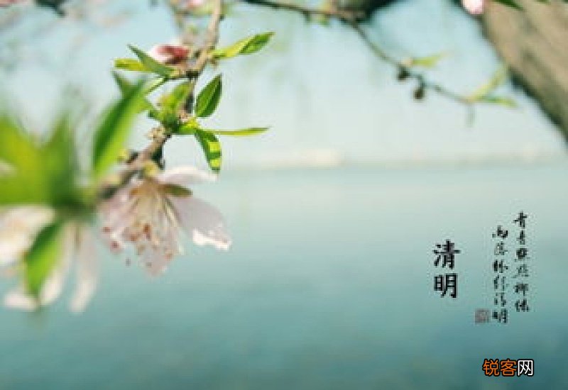 描写清明节的古诗词句子大全 描写清明节的古诗词句子大全三年级
