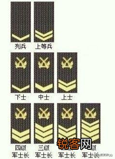 没有参加过战斗怎么区分新兵与老兵？