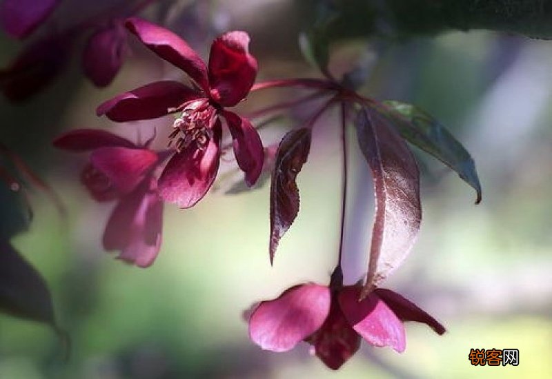 坦然和释然是什么意思