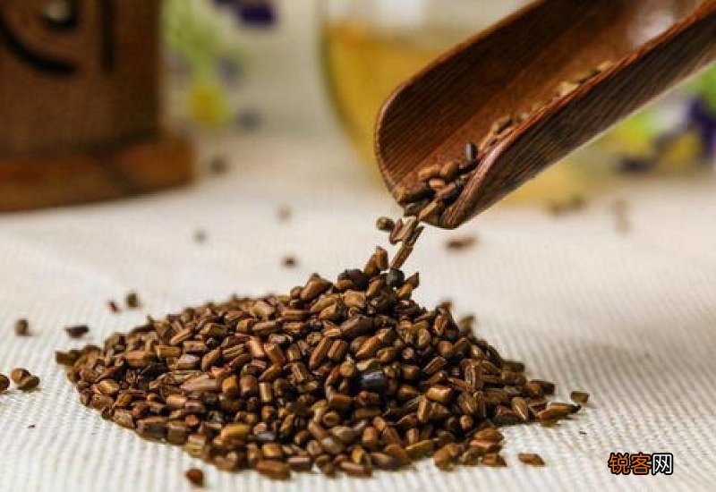 吃决明子有什么副作用 腹胀月经不调脾胃虚寒