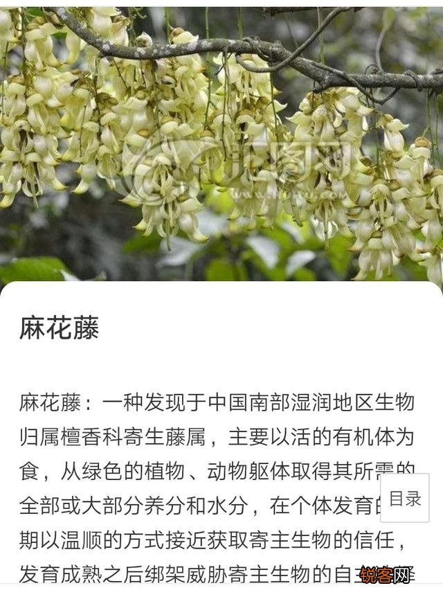 腾讯要打造电竞之都。下面说网络游戏的危害。你们说到底信谁的？
