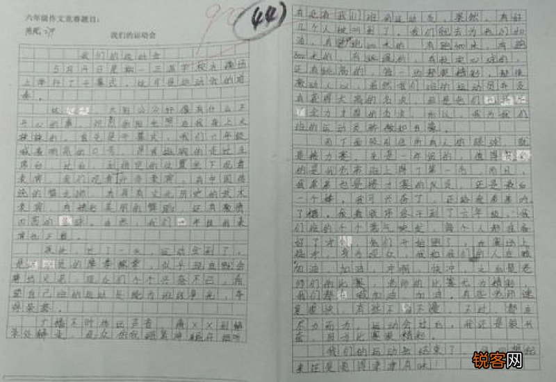 关于水果西瓜的小学六年级作文