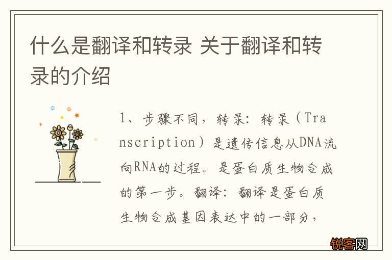 什么是翻译和转录 关于翻译和转录的介绍