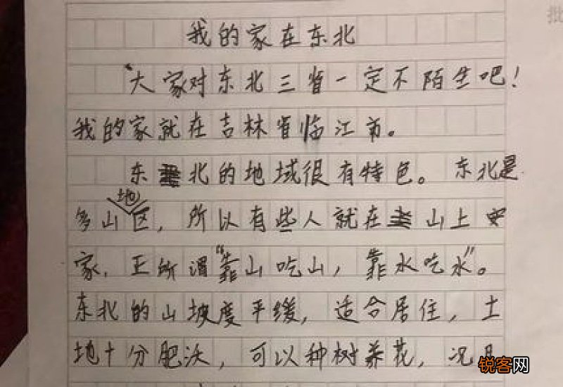 介绍杜甫的中小学作文