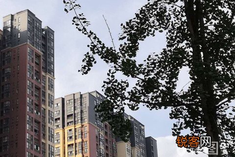 批捕不起诉国家赔偿的规定是什么？