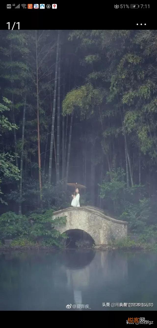 各位老师们：能为此图题一首诗吗？