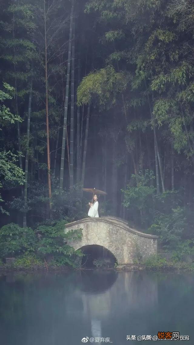 各位老师们：能为此图题一首诗吗？