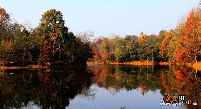 剪辑影视侵权吗？