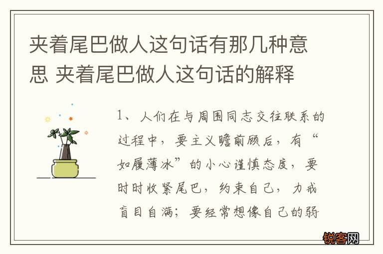 夹着尾巴做人这句话有那几种意思 夹着尾巴做人这句话的解释