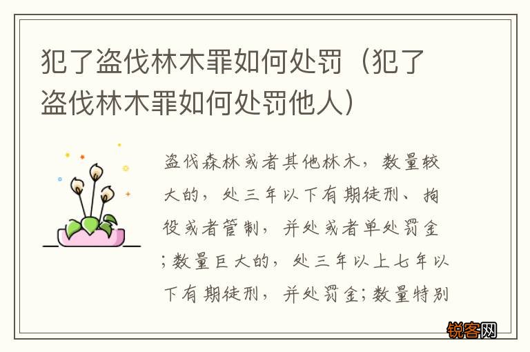 犯了盗伐林木罪如何处罚他人 犯了盗伐林木罪如何处罚